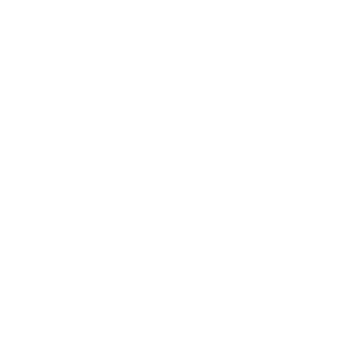 Pet Spinal Manipulation Therapy icon