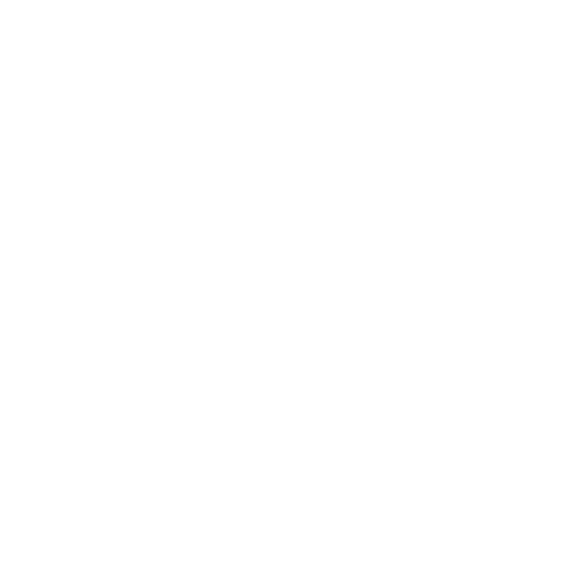pet routine parasite prevention icon