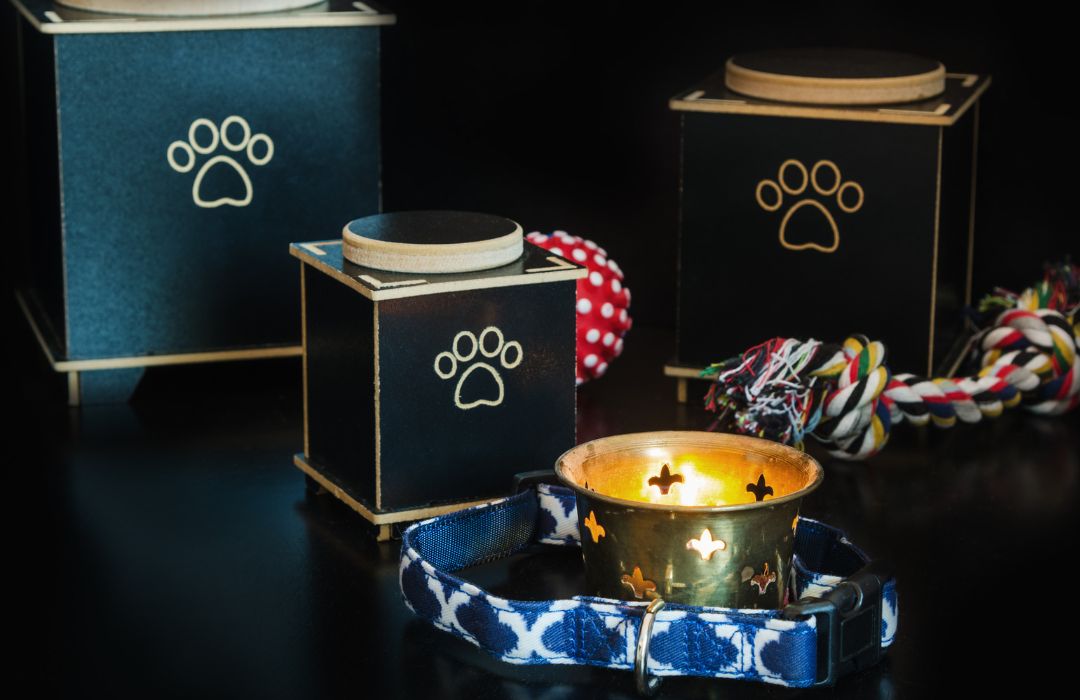 Black Cremation Urn for Pets